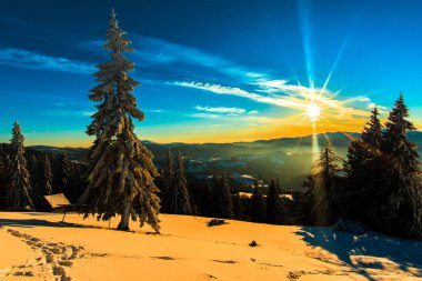 kar kaplı dağlar kış ve büyüyen Orman ağaçları ve ahşap kulübe ev 