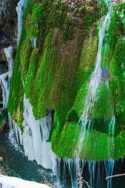 şelale yeşil yosun çim ve buz sarkıtları ile erime