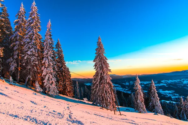 Montaña Escénica Cielo Atardecer Abetos Nevados Temporada Invierno — Foto de Stock