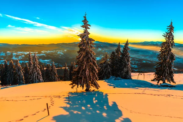 Montanha Cênica Céu Por Sol Abetos Cobertos Neve Temporada Inverno — Fotografia de Stock