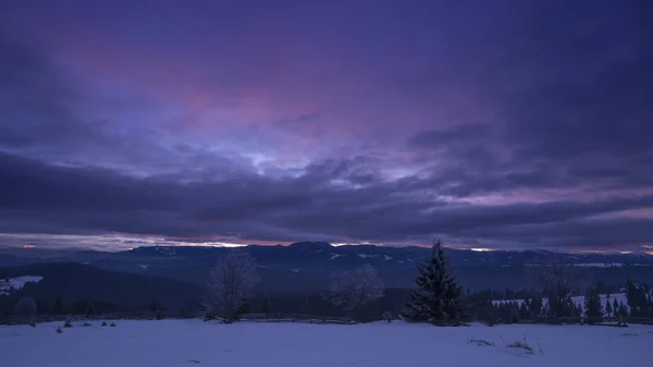 Inverno Montanhas Com Árvores Céu Roxo Escuro — Fotografia de Stock