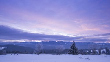 erken sabah mor gökyüzü ve ağaçlar, doğa fotoğrafçılığı, kışın dağlar