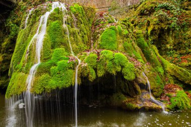 Eriyen kış kar ile yosunlu zemin