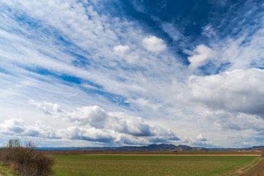 çayır kırsal manzara ve gökyüzü yeşil çim 