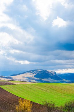 Bahar, parlak yeşil alanlar