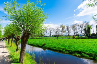 Kırsal kırsal nehir, küçük şirin evler, ağaçlar ve yeşil çimen.