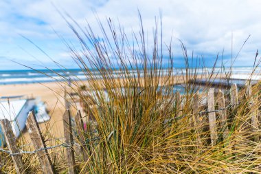 Ön planda çim ile bulanık deniz manzarası