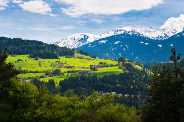 doğal Alp Dağları ve köy evleriyle yeşil manzara 
