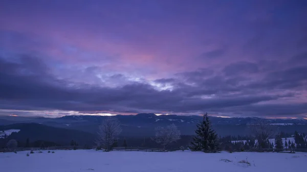 Invierno Montañas Con Árboles Cielo Púrpura Oscuro — Foto de Stock