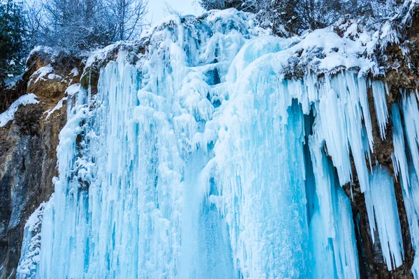 Details Winter Forest Natural Background — Stock Photo, Image