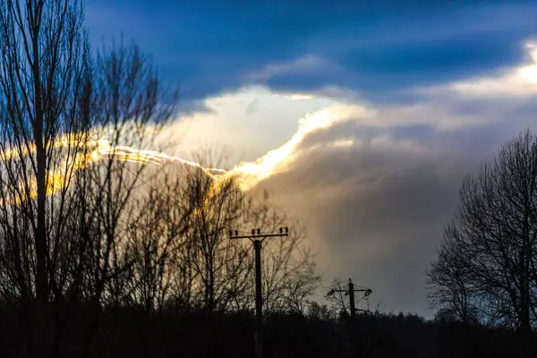 Вечірнє Хмарне Темне Небо Дерева — стокове фото
