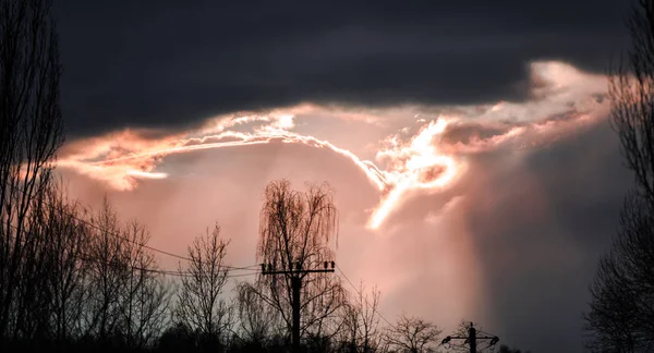 夕方曇りの暗い空と木 — ストック写真