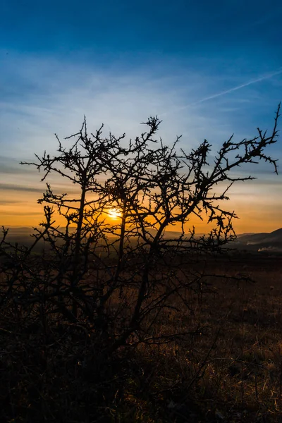 Západu Slunce Obloha Krajina Krajina Stromem Popředí — Stock fotografie