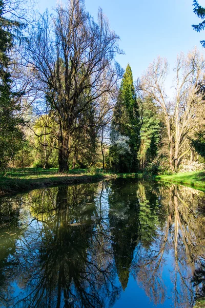 Detalles Del Parque Primavera Fondo Natural — Foto de Stock