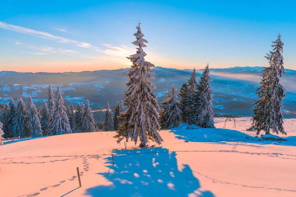 Montanha Cênica Céu Por Sol Abetos Cobertos Neve Temporada Inverno — Fotografia de Stock