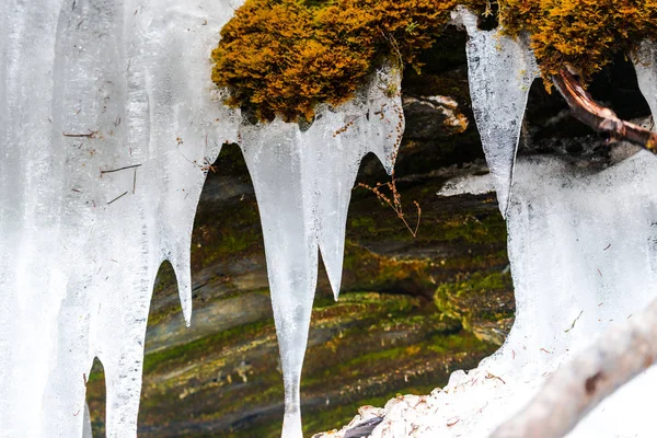 Derretendo Icicles Temporada Inverno — Fotografia de Stock