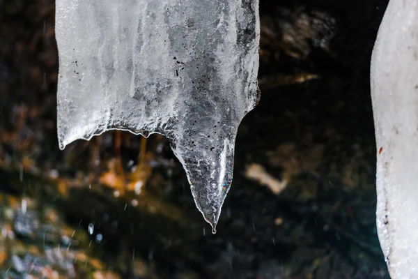 Melting Icicles Winter Season — Stock Photo, Image