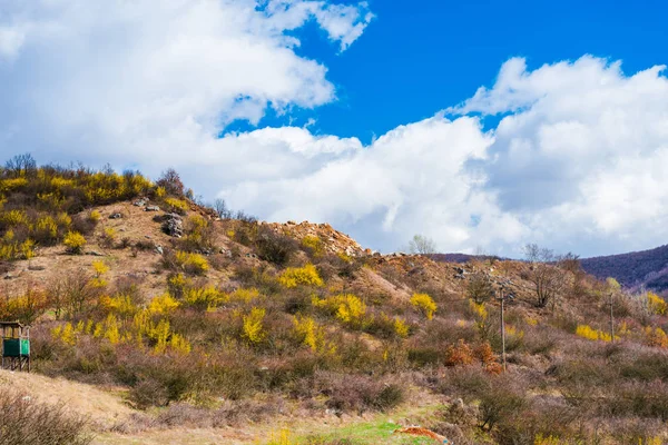 Sonbahar Kahverengi Bitkiler Ile Tepeler — Stok fotoğraf