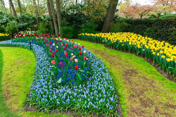 Giardino Fiorito Primavera Paesi Bassi — Foto Stock