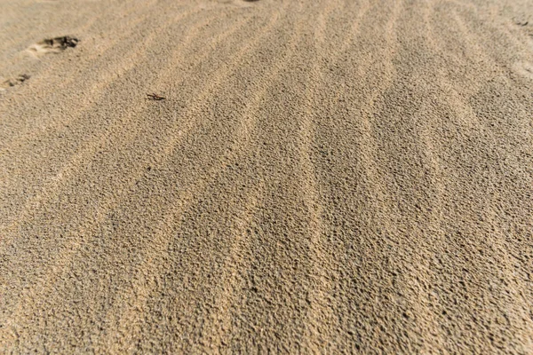 Песчаная Текстура Близкий Вид — стоковое фото