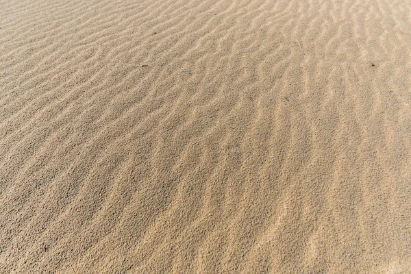 Struttura Della Sabbia Vista Vicino — Foto Stock