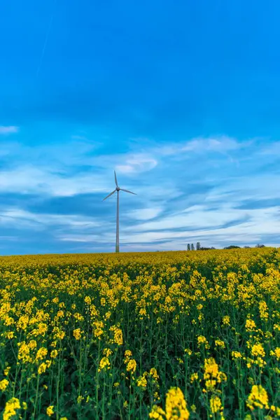 Meadow Countryside Nature Landscape Wind Turbine Field Yellow Flowers — Stock Photo, Image