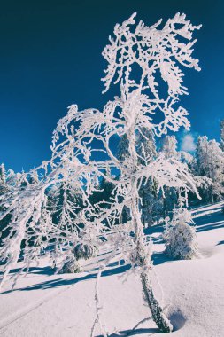 Kış dağ manzarası