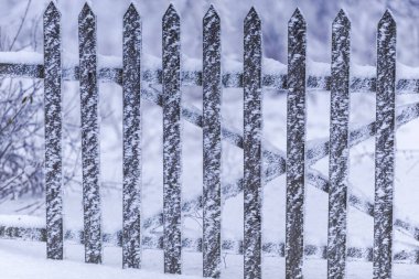 Kış ormanının detayları, doğal arka plan.