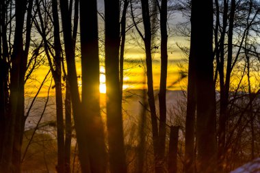 Kış ormandaki turuncu günbatımı