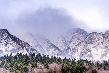 Karlı dağlar, kış doğal peyzaj görüntülemek.