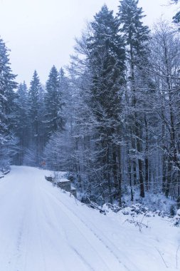 Karlı dağlar, kış doğal peyzaj görüntülemek.