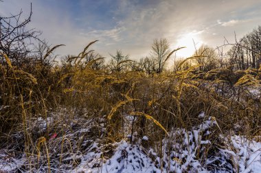 Karlı dağlar, kış doğal peyzaj görüntülemek.