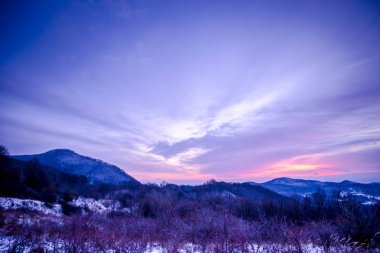 görkemli mor menekşe günbatımı gökyüzü kırsal kesimde 
