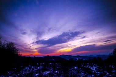 güzel menekşe mor günbatımı kırsal kesimde gökyüzü 