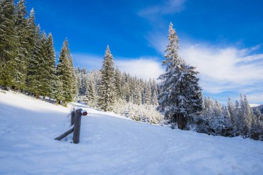 Karlı dağlar, kış manzarası.