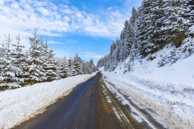 iğne yapraklı ağaçlar dağlar ve asfalt yol ile karlı orman 