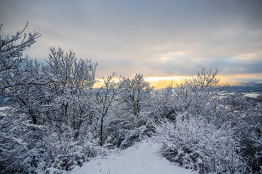 Karlı dağlar, kış manzarası.