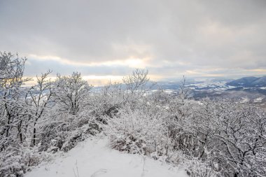 Karlı dağlar, kış manzara görünümünü.