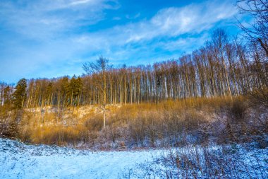 Karlı dağlar, kış manzara görünümünü.