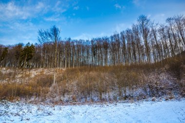 Karlı dağlar, kış manzara görünümünü.