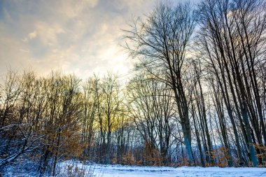 Karlı dağlar, kış manzara görünümünü.