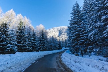 karla kaplı dağlar orman ve asfalt yol 