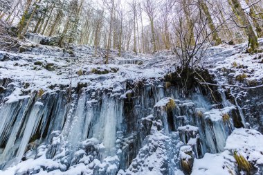 Kış sezonu ve buz sarkıtları ormandaki donmuş şelale 