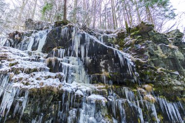 Kış sezonu ve buz sarkıtları ormandaki donmuş şelale 