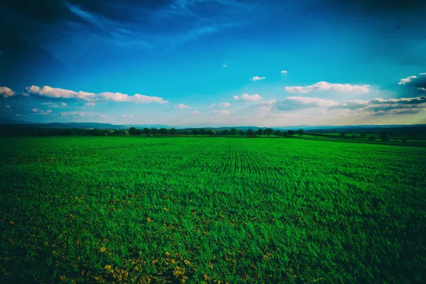 Landscape of fresh spring field, natural background.