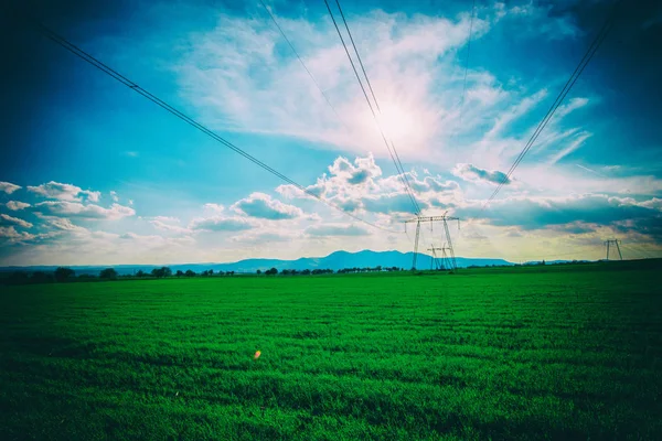 有电线杆的新鲜的春天领域 自然背景 — 图库照片