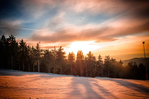 Bergen Bos Winter Met Bomen Zonsondergang — Stockfoto