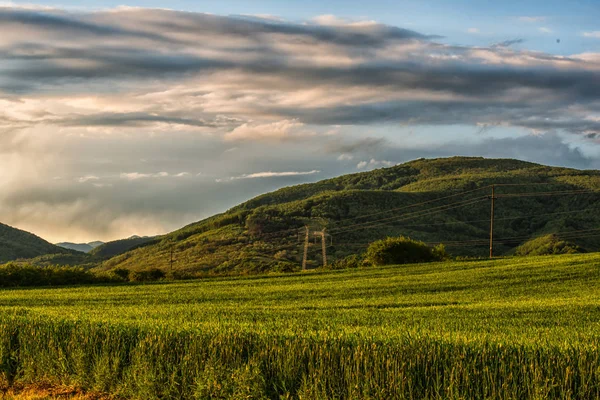 Malebná Krajina Světle Zelené Pole Zamračená Obloha Pozadí — Stock fotografie