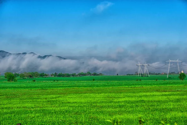 Bright green field with electric poles and low clouds