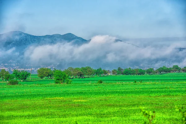 Bright green field with electric poles and low clouds